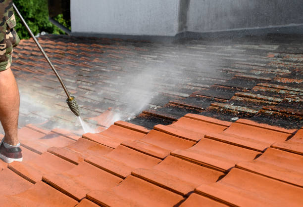 Best Exterior Home Cleaning  in Five Corners, WA